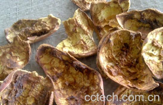 果蔬百科石榴皮-0