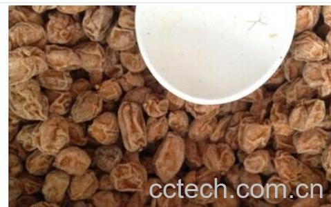 果蔬百科黄皮-0