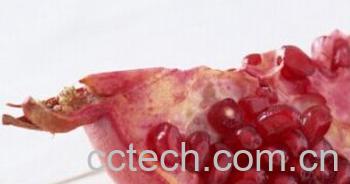 果蔬百科石榴-0