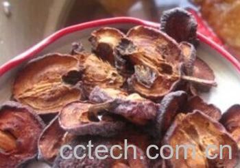 果蔬百科焦山楂-0