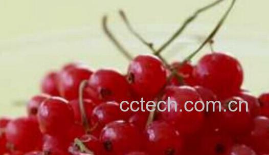 果蔬百科吃什么水果可以美白-0