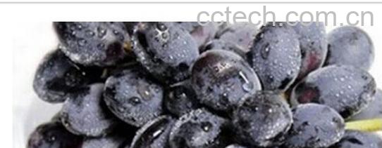 果蔬百科黑加李-0