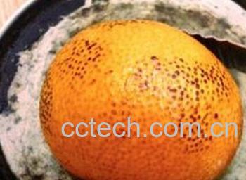 果蔬百科烤橘子-0