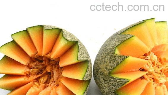 果蔬百科西州蜜瓜皮-0