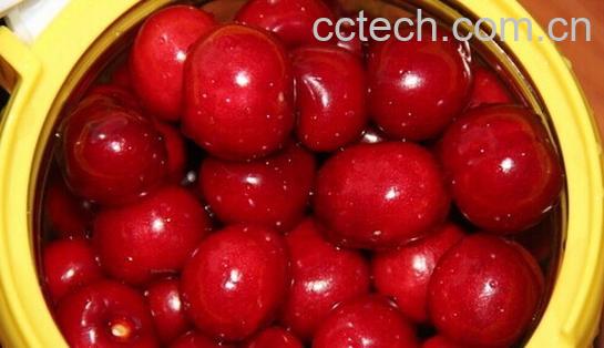 果蔬百科醋泡樱桃-0