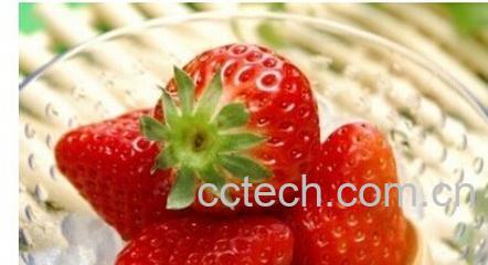 果蔬百科草莓果-0