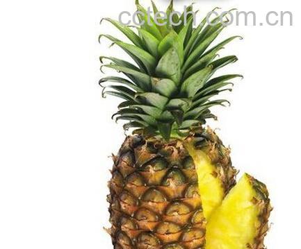 果蔬百科菠萝-0