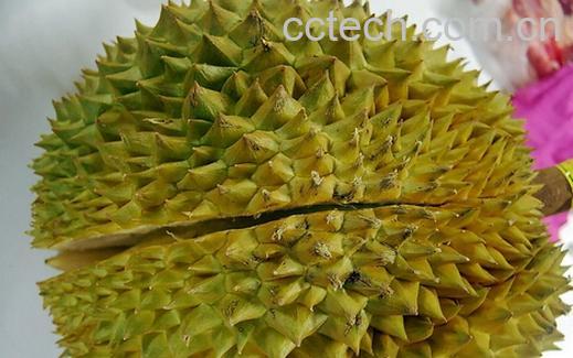 果蔬百科榴莲怎么挑选-0