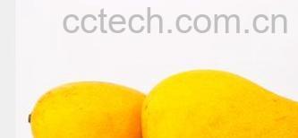 果蔬百科木瓜-0