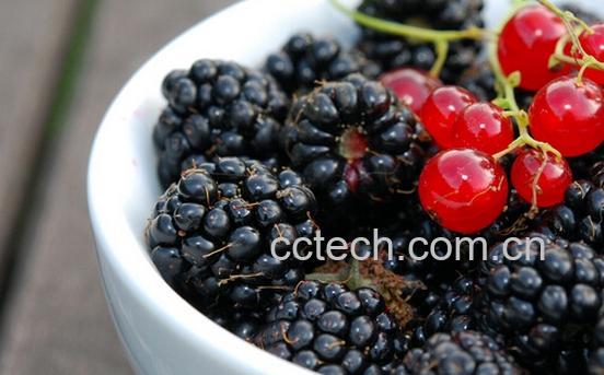 果蔬百科黑莓-0