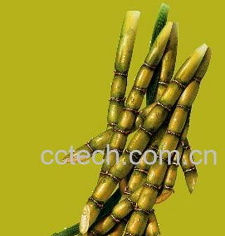 果蔬百科甘蔗汁-0