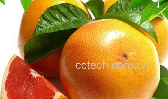 果蔬百科西柚与普通柚子营养价值的区别-0
