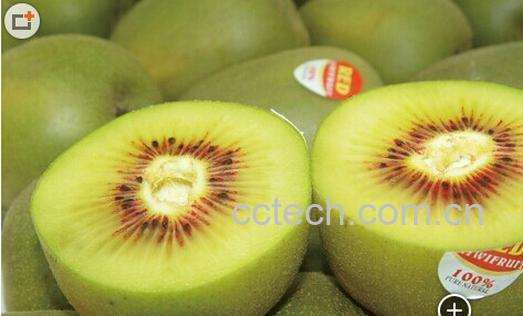 果蔬百科红心猕猴桃-0