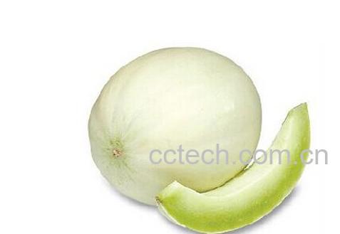 果蔬百科白兰瓜-0