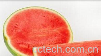 果蔬百科无籽西瓜-0