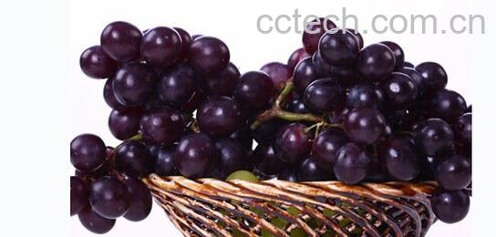 果蔬百科巨峰葡萄-0