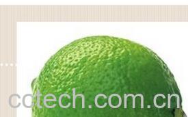 果蔬百科青柠-0