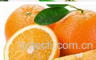 果蔬百科脐橙-0
