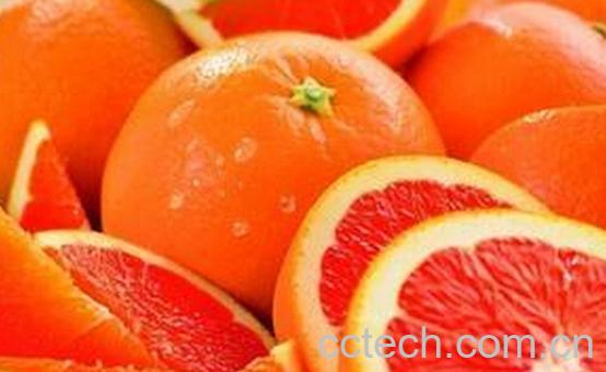 果蔬百科西柚-0