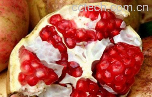 果蔬百科石榴皮煮水-0