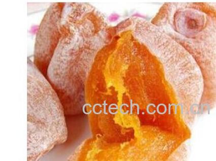 果蔬百科柿饼-0