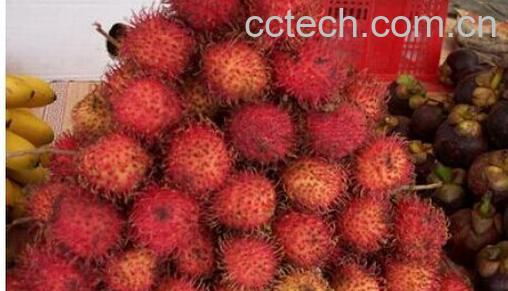 果蔬百科红毛丹-0