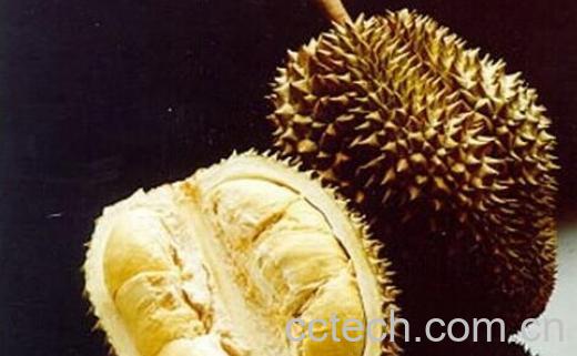果蔬百科不能跟榴莲一起吃的东西有哪些-0