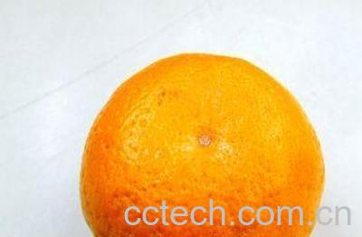 果蔬百科小桔子-0