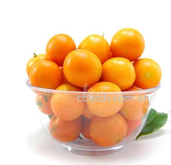 果蔬百科金桔子-0