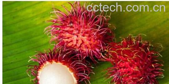 果蔬百科红毛丹-0