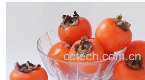 果蔬百科柿子-0