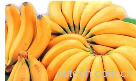 果蔬百科香蕉-0