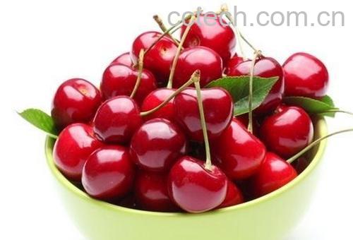 果蔬百科樱桃-0