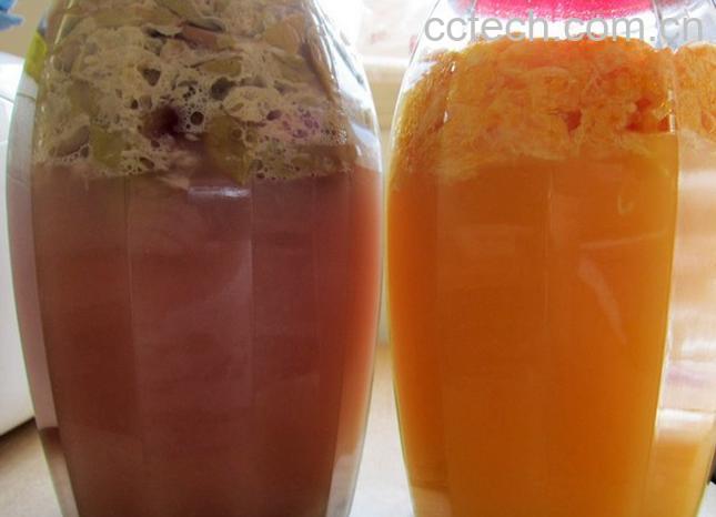 果蔬百科橘子酒-0