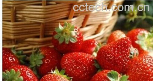 果蔬百科菠萝莓-0