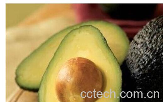 果蔬百科鳄梨-0