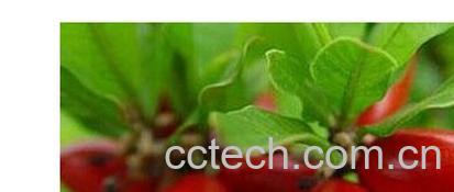 果蔬百科神秘果-0