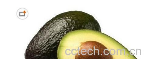 果蔬百科牛油果-0