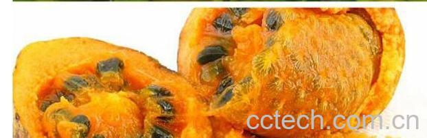 果蔬百科蛋黄果-0