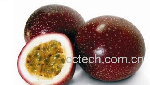 果蔬百科鸡蛋果-0