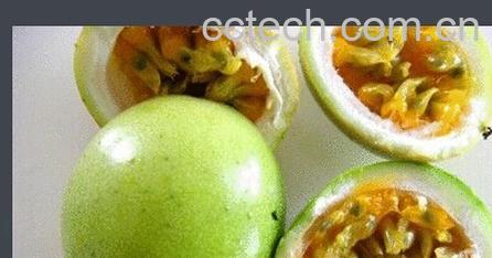 果蔬百科鸡蛋果-0