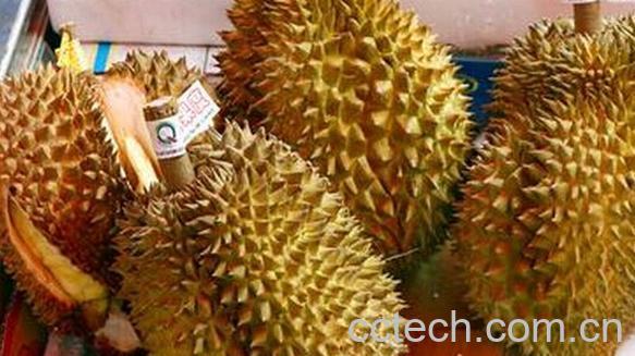 果蔬百科挑选榴莲-0