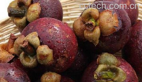 果蔬百科挑选山竹-0