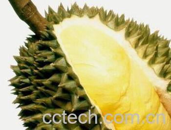 果蔬百科榴莲-0