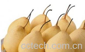 果蔬百科梨子-0