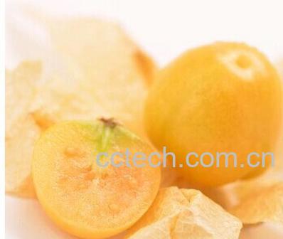 果蔬百科含羞果-0