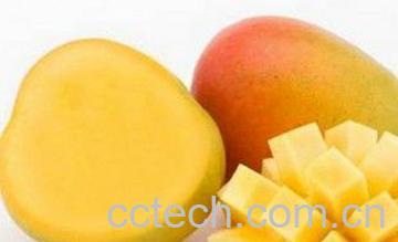 果蔬百科芒果-0