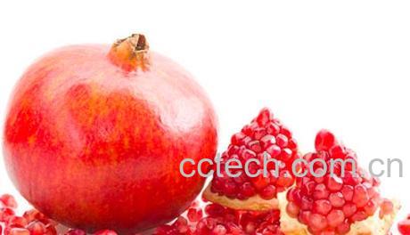 果蔬百科石榴-0