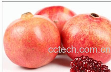 果蔬百科石榴-0