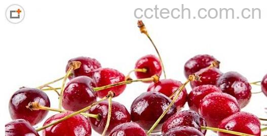 果蔬百科樱桃-0